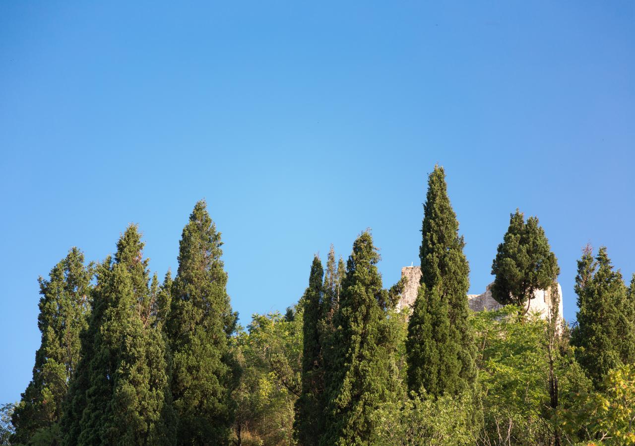 דירות וירפזאר Vasiliki מראה חיצוני תמונה